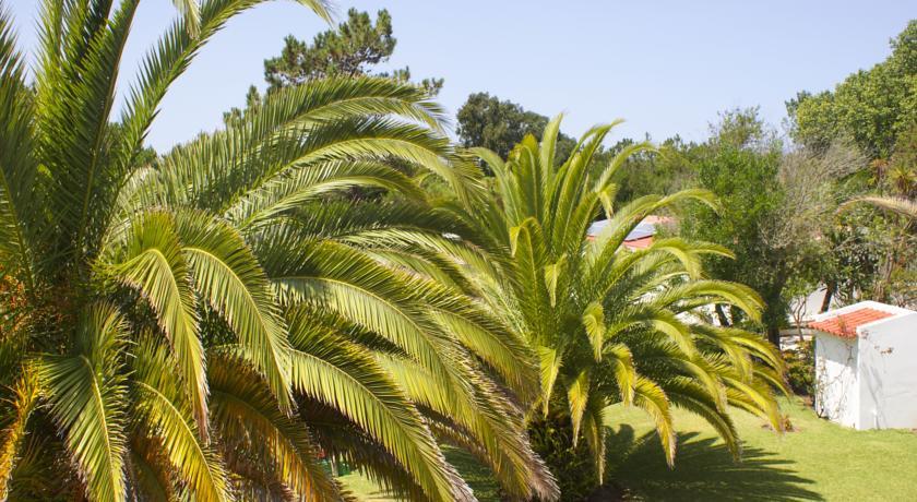 Гостевой дом Quinta Do Moinho De Vento