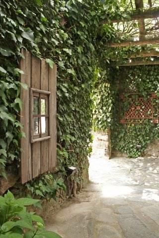 Гостевой дом Quinta da Dourada