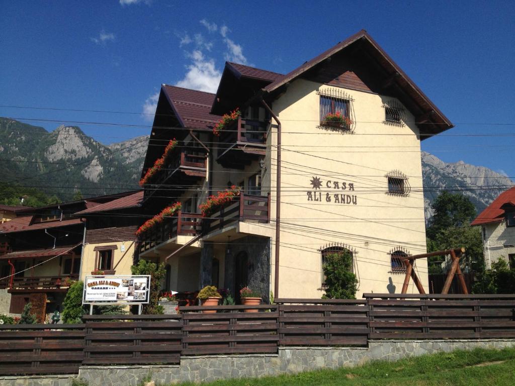 Гостевой дом Pension Casa Ali & Andu