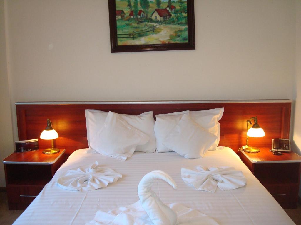 Отель Hotel Ami