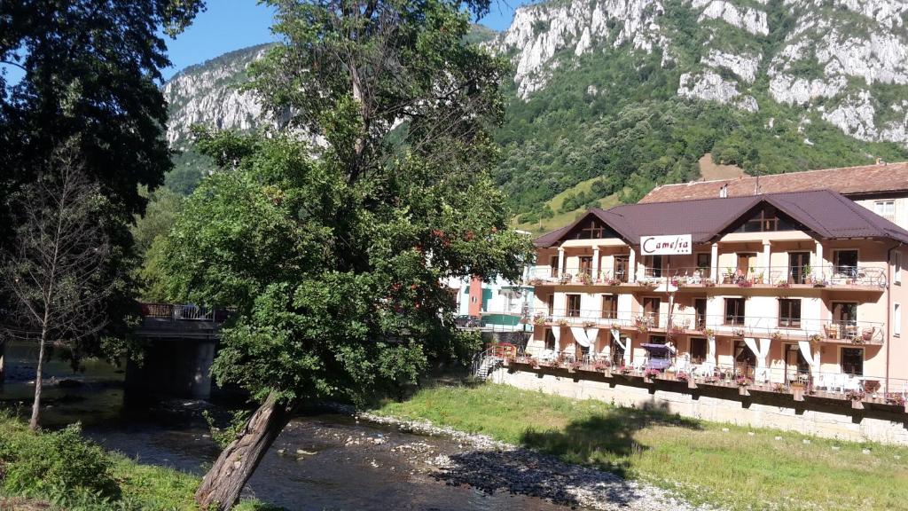 Гостевой дом Pension Camelia