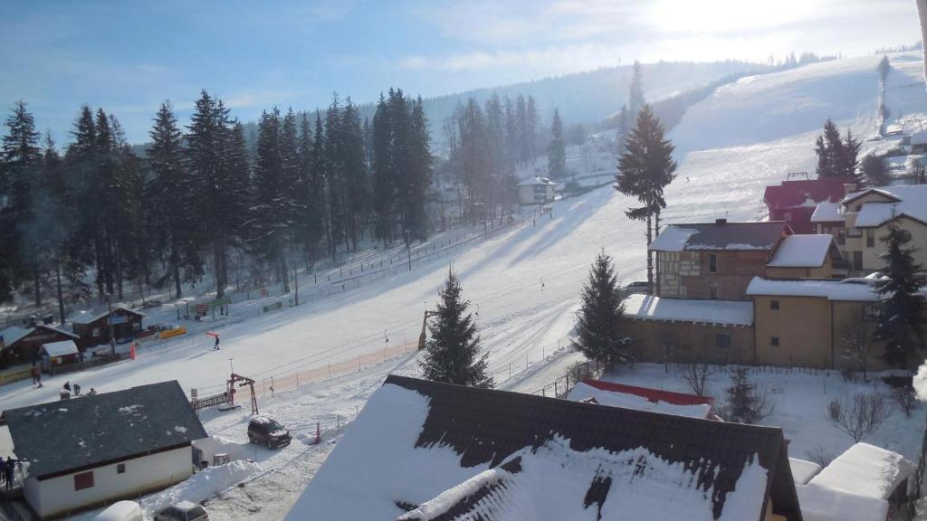 Отель Hotel Dorna