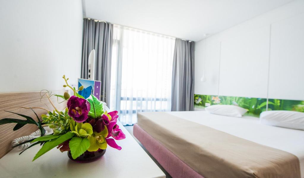 Отель Hotel Melodia