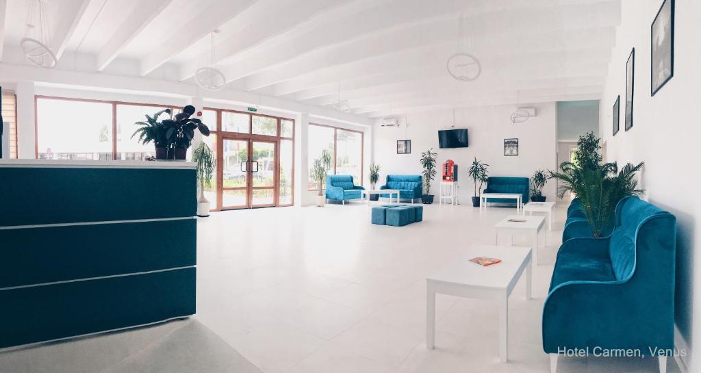 Отель Hotel Brandusa