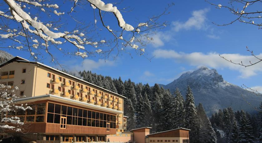 Отель Hotel Boboty