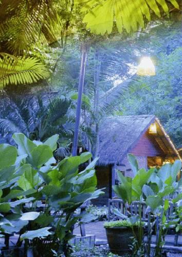 Отель Country Lake Nature Lodge