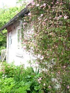 Мини-отель Elisetorp Bed & Breakfast