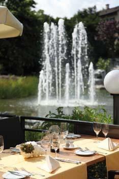 Отель Park Hotel Bad Zurzach