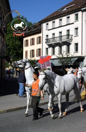 Отель Hotel du Cheval Blanc