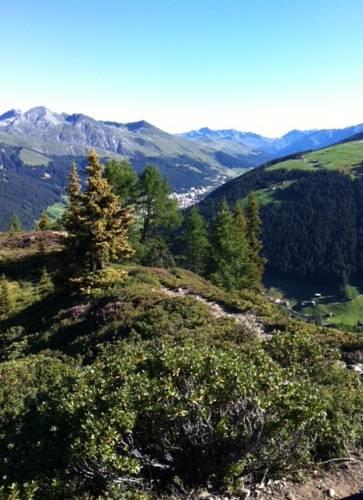 Отель Hotel Bünda Davos