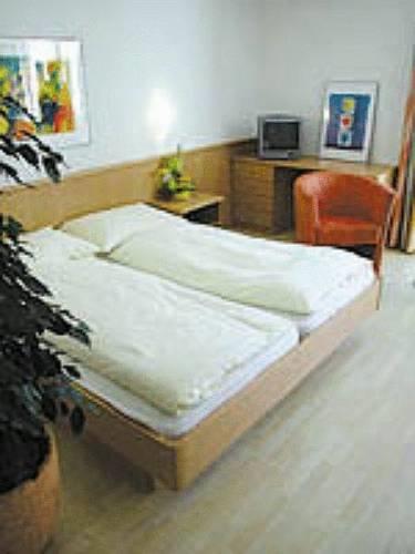 Отель Hotel Rebstock