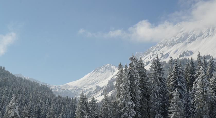 Мини-отель Chalet Cergnat Bed and Breakfast