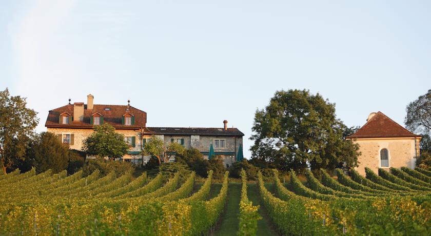 Отель Domaine de Châteauvieux