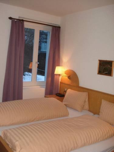 Отель Hotel Grischuna