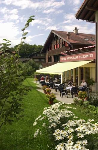 Отель Hotel Fluematte