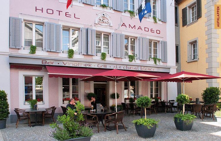 Отель Hotel Amadeo