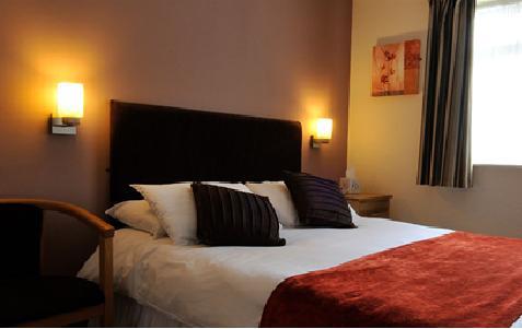 Отель The Jester Hotel