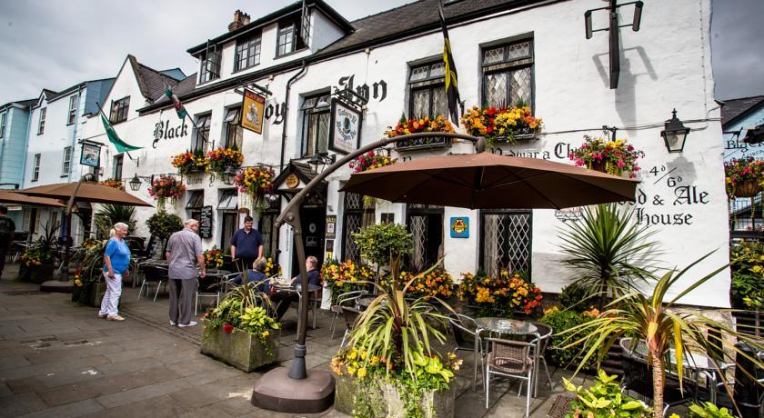 Отель The Black Boy Inn