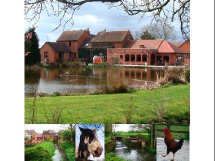 Отель Malswick Mill Bed and Breakfast