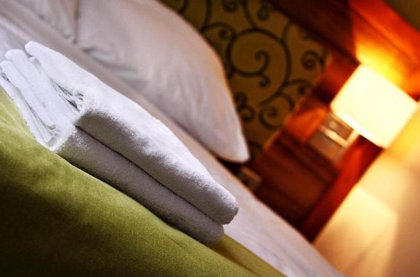 Отель Surtees Hotel