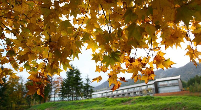 Отель Furano Hotel