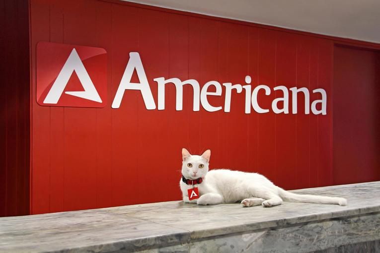 Отель Hotel Americana
