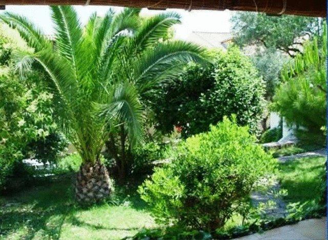 Апартаменты Razis Apartments