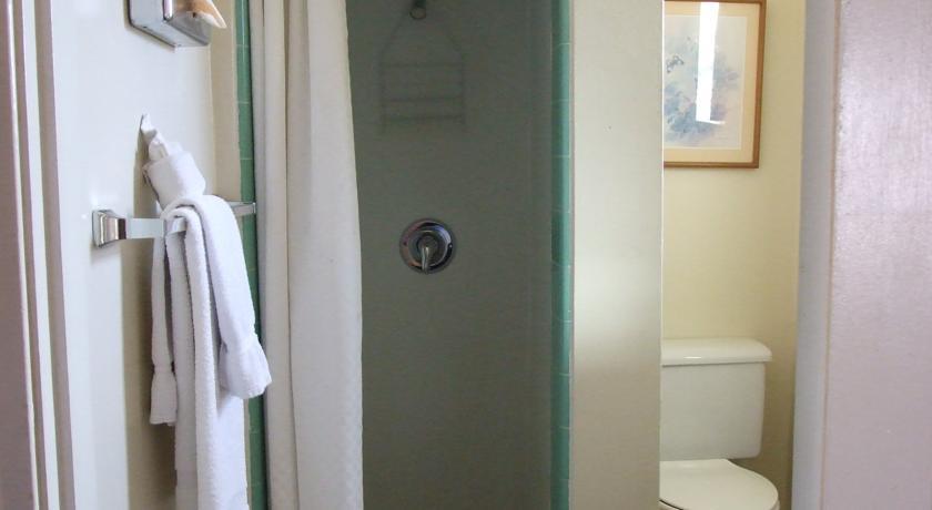 Отель Dixie Palm Motel