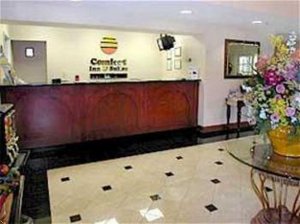 Отель Comfort Inn & Suites Galleria