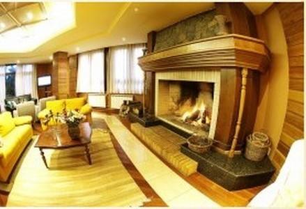 Отель Hotel Serra Nevada