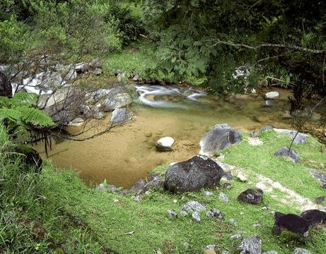 Отель Pousada Fazenda Rio das Pedras