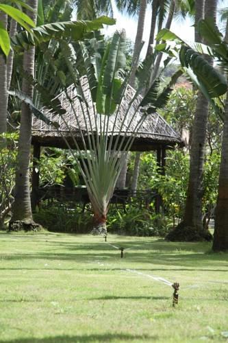 Lucy Resort