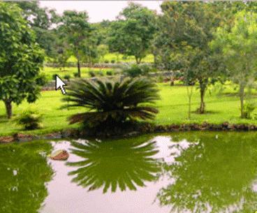 Park Golf Hostel Ipelandia
