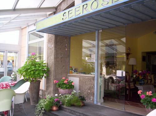 Отель Hotel Seerose