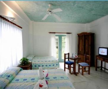 Отель Hotel Plaza Delphinus