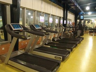 Отель Shenyang Marvelot Hotel