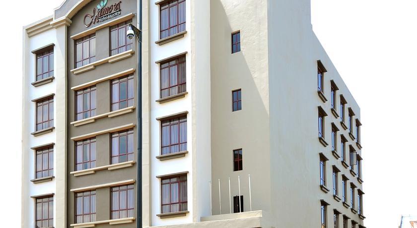 Отель Hotel Mimosa