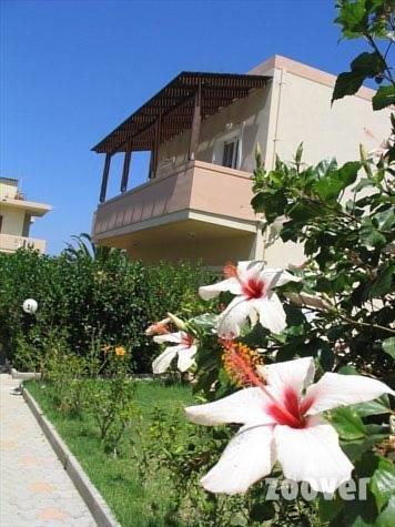 Апартаменты Evdokia Apartments
