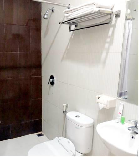 Отель Vindhika Hotel