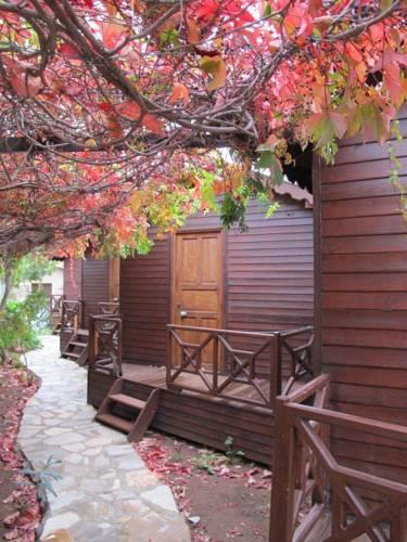 Отель Changa Hotel
