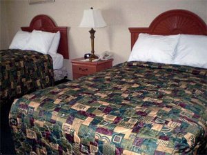 Отель Comfort Inn Pulaski