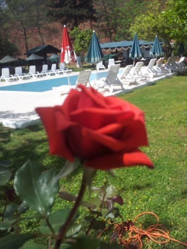 Отель Maviay Hotel