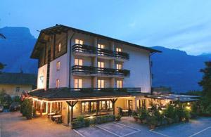 Отель Hotel Brienz