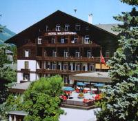 Отель Hotel Wildstrubel