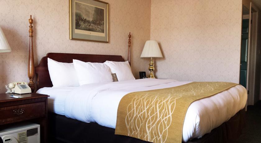Отель Comfort Inn 