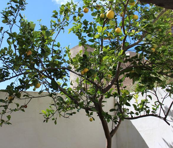 Мини-отель Sciacca Bed and Breakfast Natoli