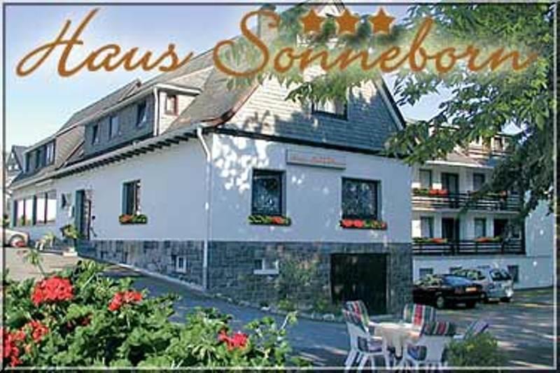 Отель Hotel Haus Sonneborn