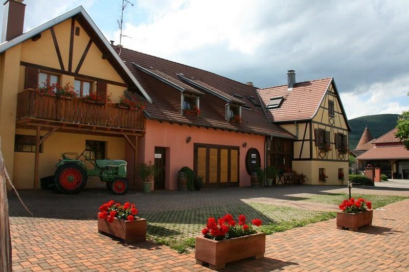 Апартаменты Gites Riesling et le Muscat