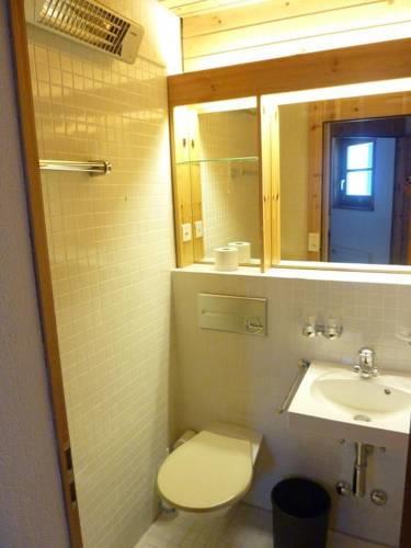 Апартаменты Schweizerhof Ferienwohnungen Lenzerheide 1