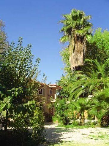 Апартаменты Lefkos Apartments